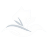 SoftTouch Tissue Shop
